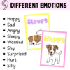 Emotions and Feelings Posters for Calm Corner | Bright SEL Classroom Decor