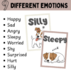 Emotions and Feelings Posters for Calm Corner | Neutral SEL Classroom Decor