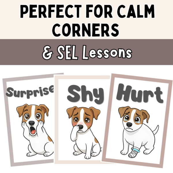 Emotions and Feelings Posters for Calm Corner | Neutral SEL Classroom Decor