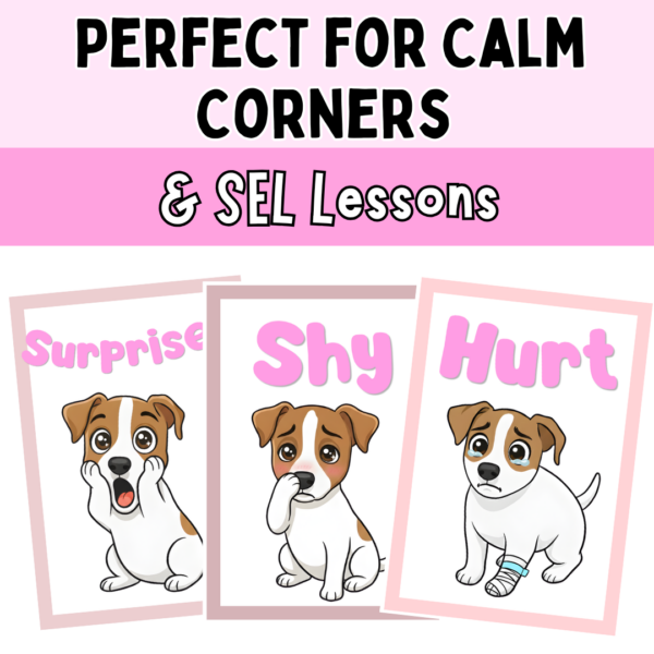 Emotions and Feelings Posters for Calm Corner | Pink SEL Classroom Decor